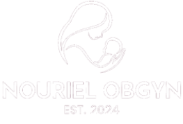 Nouriel OBGYN footer logo